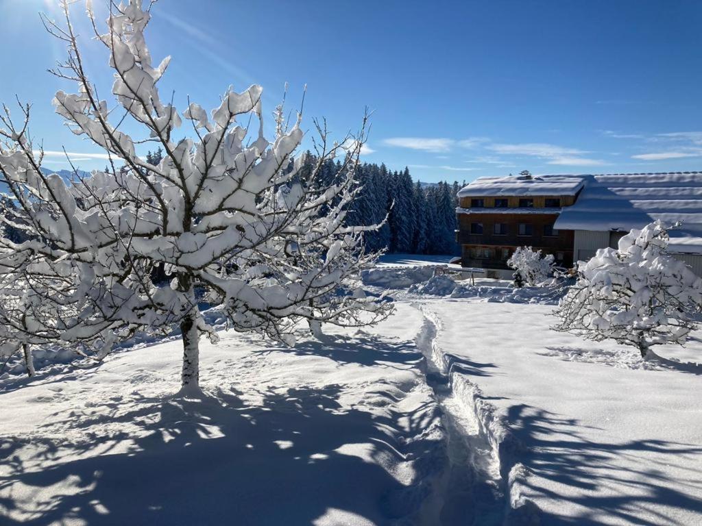 Stockreutehof Apartment ซาลส์บวร์ก ภายนอก รูปภาพ