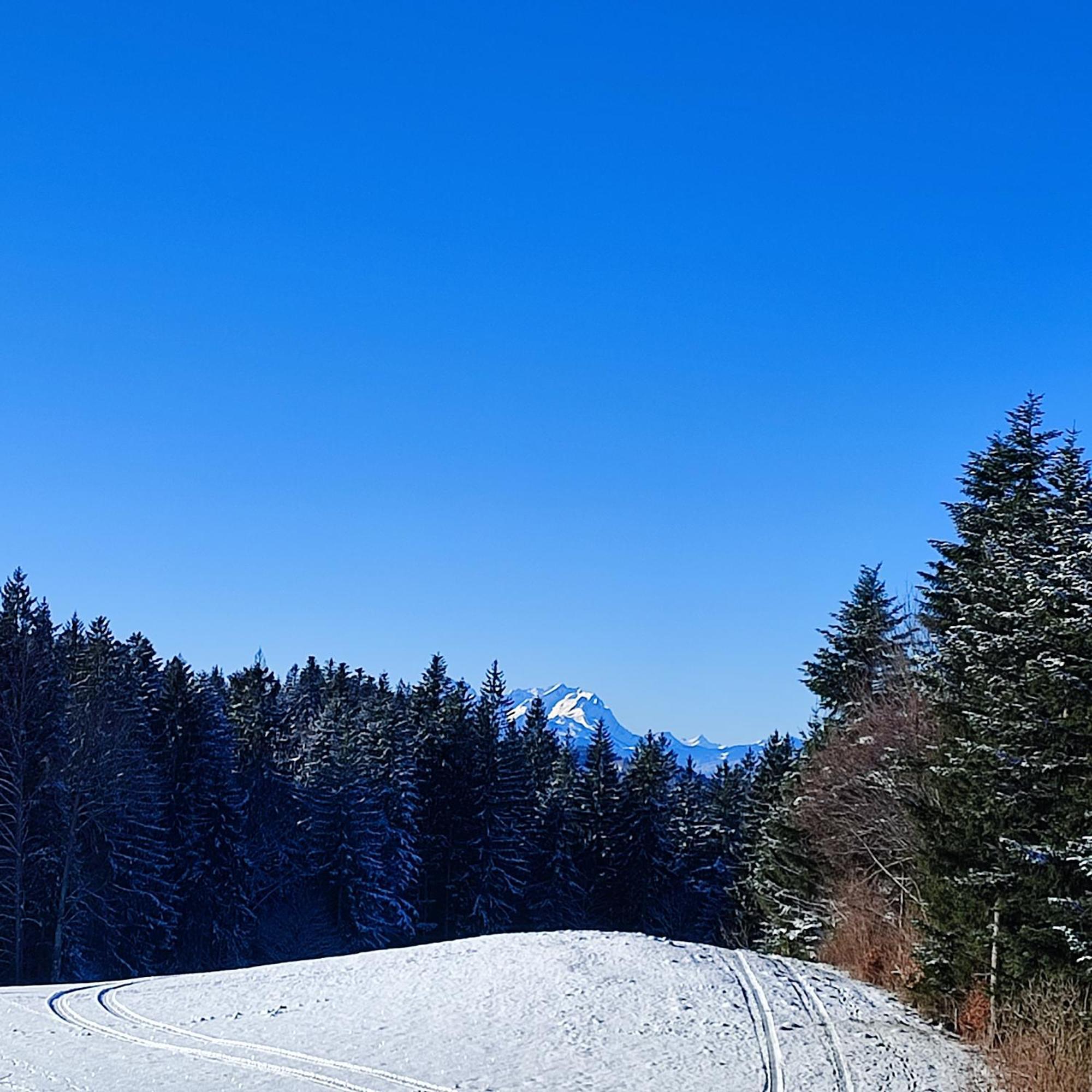 Stockreutehof Apartment ซาลส์บวร์ก ภายนอก รูปภาพ