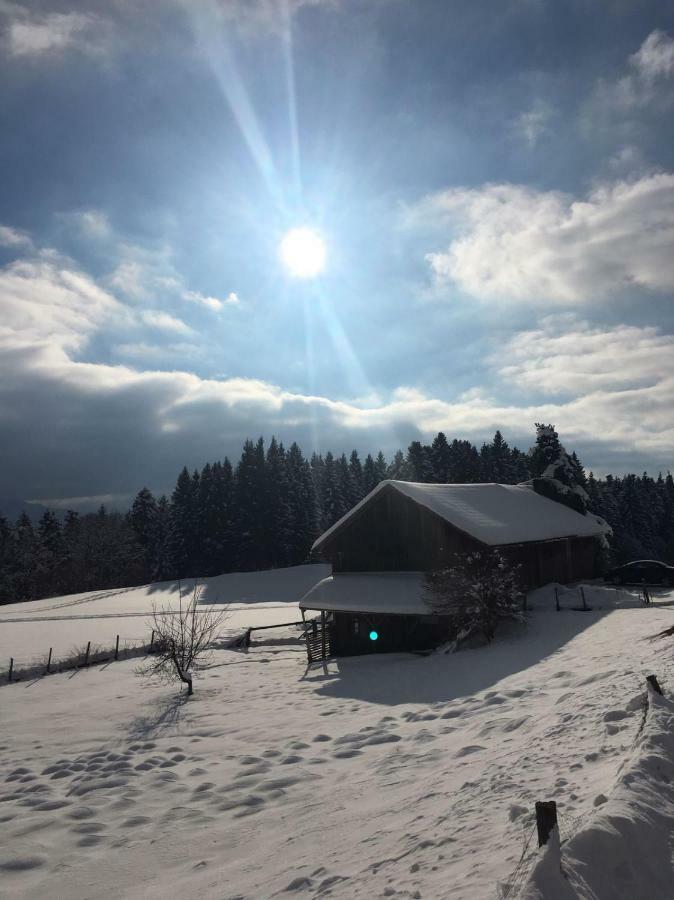 Stockreutehof Apartment ซาลส์บวร์ก ภายนอก รูปภาพ