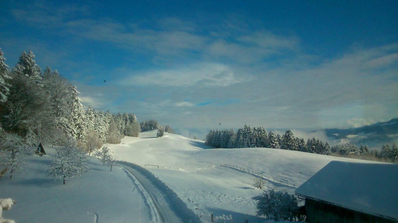 Stockreutehof Apartment ซาลส์บวร์ก ภายนอก รูปภาพ