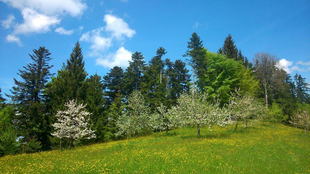 Stockreutehof Apartment ซาลส์บวร์ก ภายนอก รูปภาพ