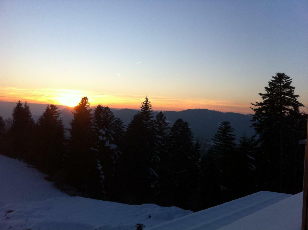 Stockreutehof Apartment ซาลส์บวร์ก ภายนอก รูปภาพ