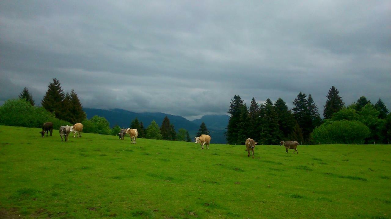 Stockreutehof Apartment ซาลส์บวร์ก ภายนอก รูปภาพ