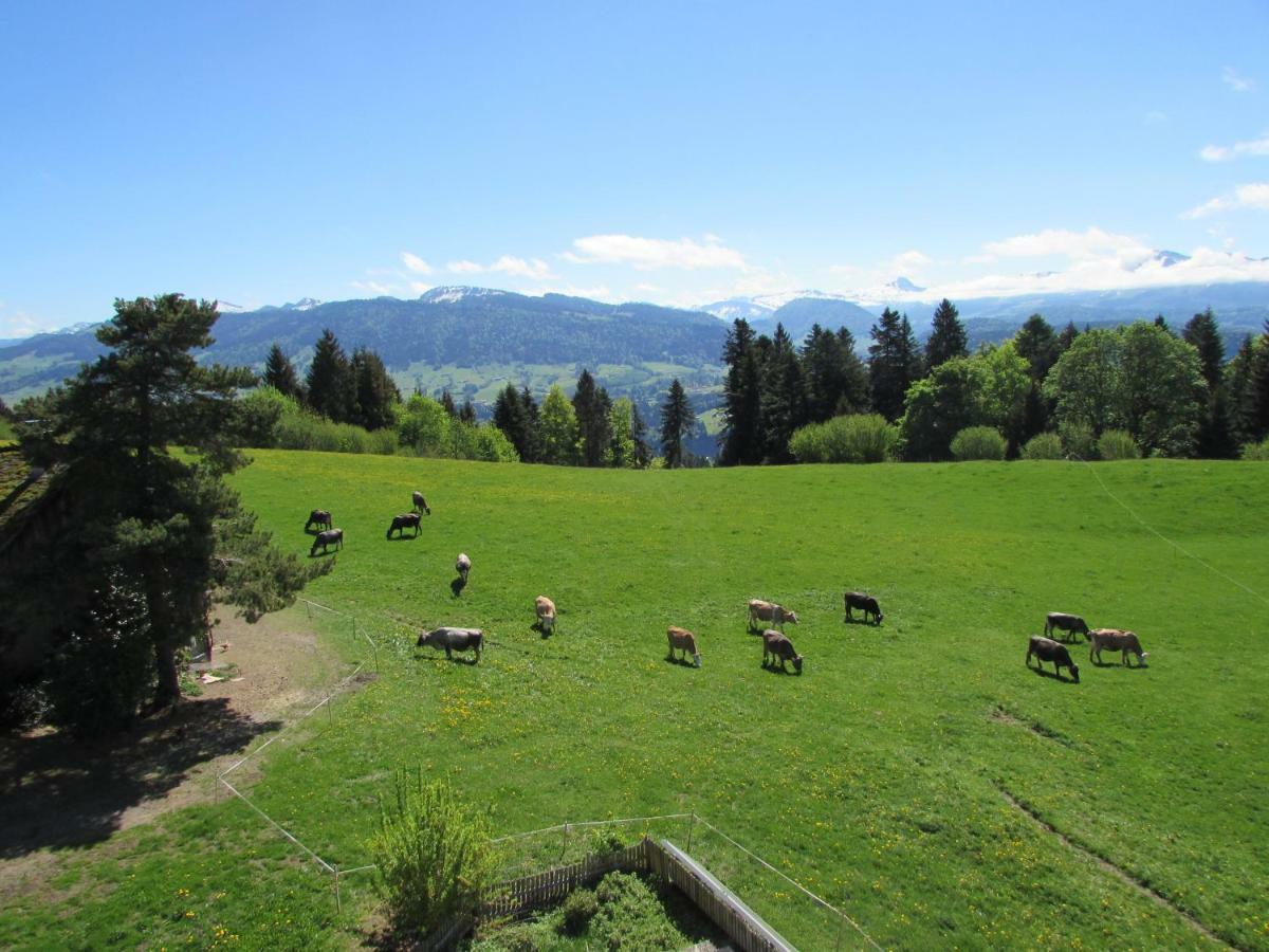 Stockreutehof Apartment ซาลส์บวร์ก ภายนอก รูปภาพ