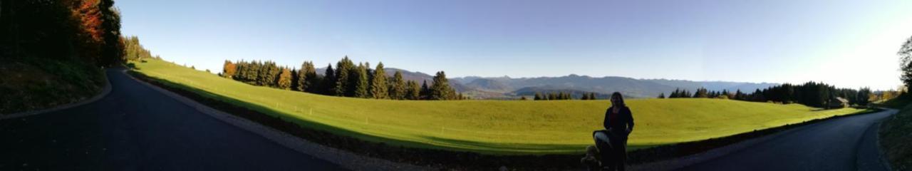 Stockreutehof Apartment ซาลส์บวร์ก ภายนอก รูปภาพ